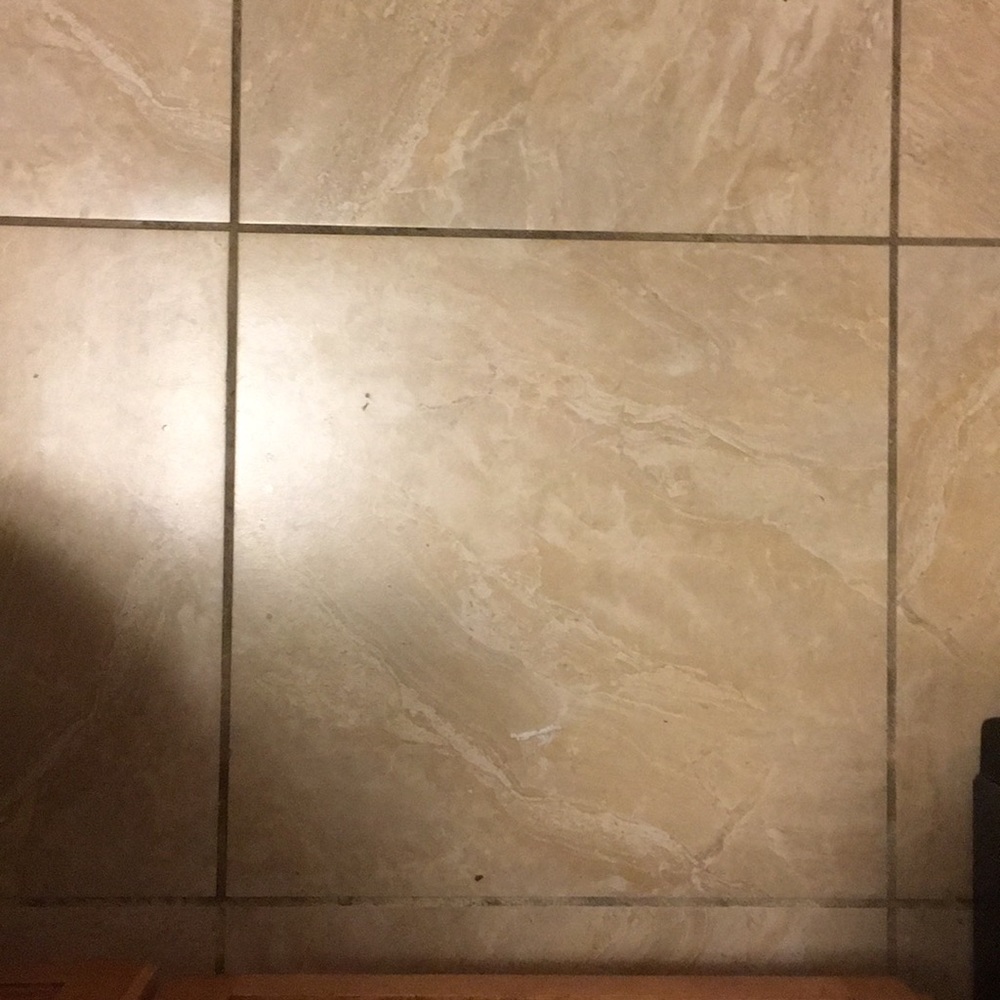 Meet your Posher, Annie